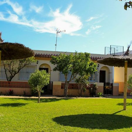 Apartamentos Bellavista Bolonia Dış mekan fotoğraf